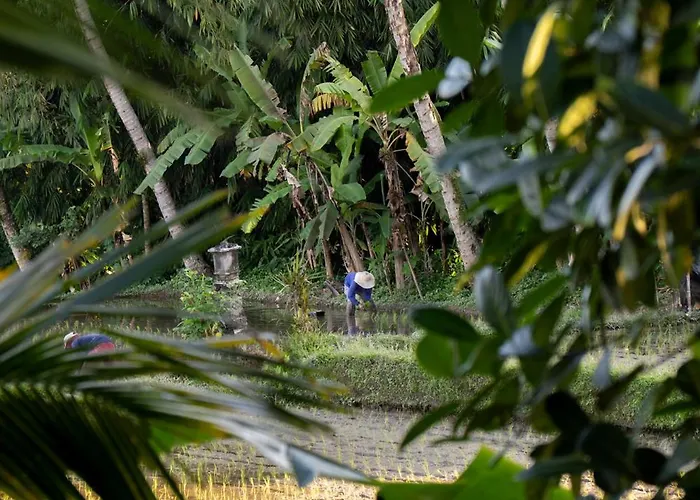 Adheaira By Bukit Vista